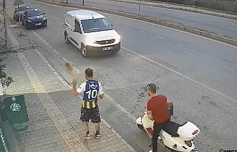 Samsun'da kediye tekme atan kişi kameraya yansıdı