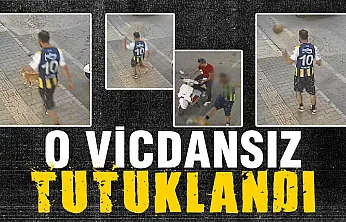 Samsun'da kediye tekme atan şüpheli tutuklandı