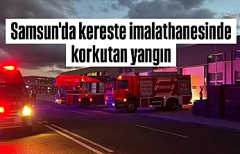 Samsun'da kereste imalathanesinde yangın paniği