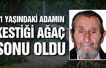 Samsun'da kestiği ağaç üzerine devrilen adam hayatını kaybetti