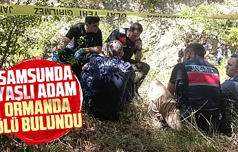 Samsun'da Koyunlarını otlatmaya çıkan adam ormanda ölü bulundu