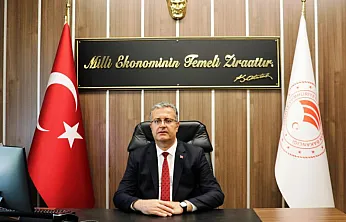 Samsun'da Mısır Üreticilerine Kahverengi Kokarca Uyarısı