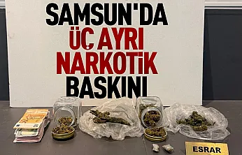 Samsun'da narkotik operasyonu