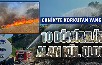 Samsun'da Otluk Alan Yangını: 10 Dönüm Zarar Gördü