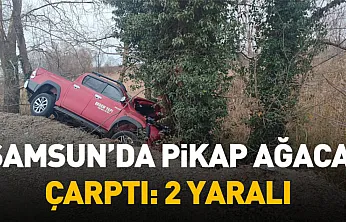 Samsun'da pikap ağaca çarptı: 2 yaralı