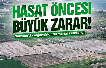Samsun'da sağanak tarım alanlarını vurdu: 30 mahalle etkilendi