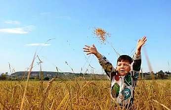 Samsun'da tarımsal üretime dev destek! Milyarla telafuz ediliyor