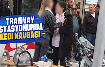 Samsun'da tramvay durağında kedi tartışması kavgaya döndü
