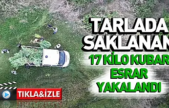 Samsun'da Tütünlerin arasına gizlenmiş esrar ve kenevir yakalandı