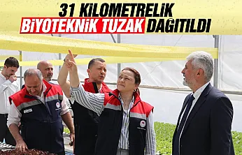 Samsun'da zararlı böcek mücadelesinde tuzaklama sistemi
