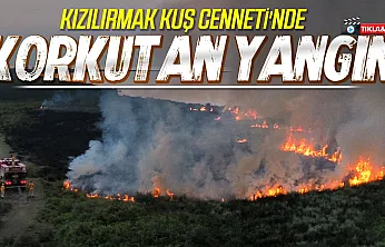 Samsun Kızılırmak Deltası Kuş Cenneti'nde yangın