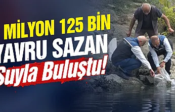 Samsun'un Mavi Vatanına 1 Milyonu aşkın Sazan yavrusu bırakıldı