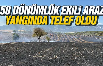 Samsun Vezirköprü'de Tarlada Çıkan Yangın Ürünleri Yok Etti