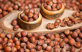 Samsunlu üreticiler fındığı depolarda tutuyor