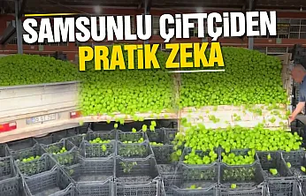 Saniyeler İçinde Kasalara Doldurdu: Çiftçinin Yöntemi Hayran Bıraktı