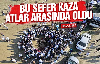 Sarımsak Festivali'nde feci kaza Çarpışan iki at telef oldu