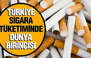 Şevket Özkaya, 'Sigara tüketiminde Türkiye birinci çıktı'