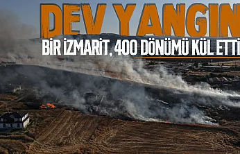 Sigara İzmariti Felakete Yol Açtı! 400 Dönüm Arazi Küle Döndü