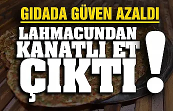 Tarım ve Orman Bakanlığı hileli ürünlere aman vermiyor