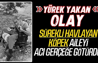 Tekerlekli sandalyesi tutuşan engelli vatandaş hayatını kaybetti