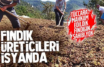 Terme'de Fındık üreticisi isyanda