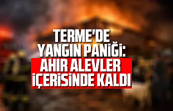 Terme'de yangın paniği: Ahır alevler içerisinde kaldı