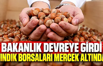 Ticaret Bakanlığı fındık borsalarında kapsamlı denetim başlattı