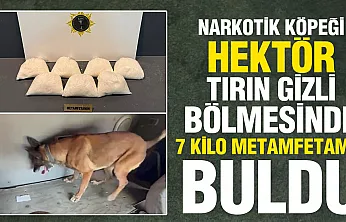 Tırın gizli bölmesinden 7 kilo metamfetamin çıktı