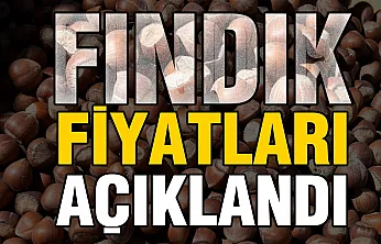 TMO 2026 fındık fiyatlarını açıkladı!