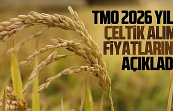 TMO çeltik alım fiyatları açıklandı