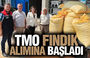 TMO fındık alımını Samsun Çarşamba'da açtı