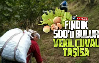 Trabzonlu içerik üreticisinin fındık şarkısı gündem oldu