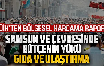 TÜİK 2025 verileri açıklandı: Samsun'da bütçeler gıda, ulaştırma ve konuta gidiyor