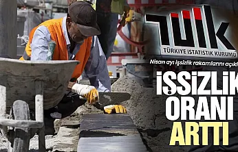 TÜİK verilerine göre İşsizlik oranı yüzde 8,2 oldu