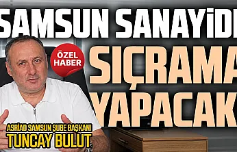 Tuncay Bulut, 'Samsun fazlasıyla sanayi şehri olacak'