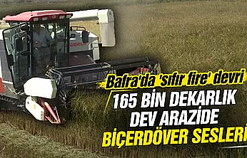 Türkiye'nin çeltik deposu Bafra Ovası'nda hasat mesaisi