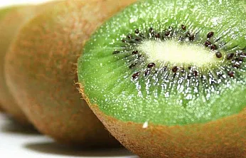 Türkiye'nin kivi ambarı Çarşamba'da neden kivi tercih ediliyor?