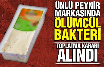 Ünlü peynir markasında 'listeria' skandalı