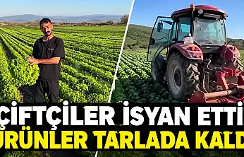 Üreticinin emeği pazarda karşılık bulmuyor