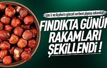 Üreticinin gözü serbest piyasada: İşte il il canlı fındık fiyatları raporu!