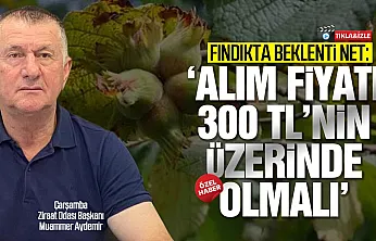 Üreticinin gözü TMO'da: Fındıkta fiyat beklentisi yüksek