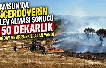 Vezirköprü'de Biçerdöver Yangını: 150 Dekarlık Ekili Alan Kül Oldu
