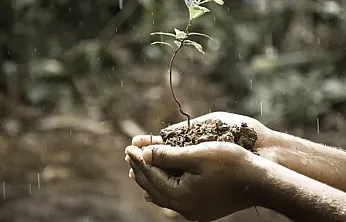 Yağmurdan sonra toprak neden güzel kokar?