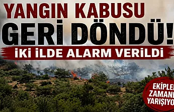 Yangın kabusu geri döndü: İzmir ve Bursa'da alevler ormanlık alana ulaştı