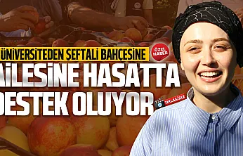 Yüksek lisans yapan Zeynep Sude Sezer hasat zamanı tarlada çalışıyor