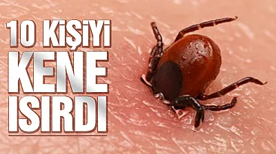 10 Kişi Kırım Kongo Kanamalı Ateşine yakalandı