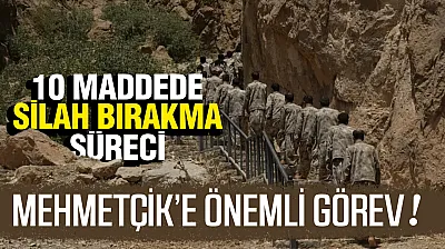 10 Maddede Silahsızlanma Süreci: Tüm Silah ve Ekipmanlar Teslim Edilecek