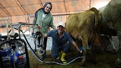16 yıl dijital pazarlama yaptı, şimdi süt sağıp tereyağı üretiyor