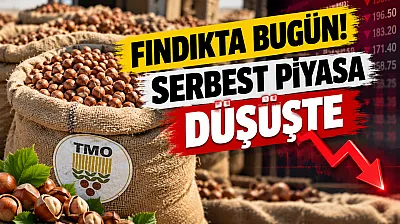 17 Ekim serbest piyasa fındık fiyatlarında son durum