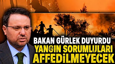 25 ildeki orman yangınlarına yönelik hukuki süreç başlatıldı
